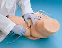 female catheterization bladder simulator manikin model