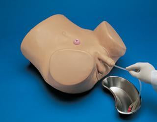 Male Catheterization Training Patient Care Simulator