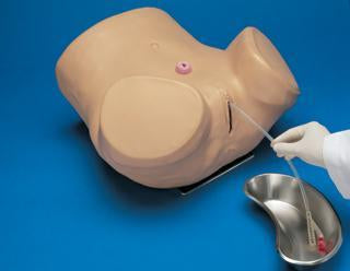 female catheterization simulator manikin model