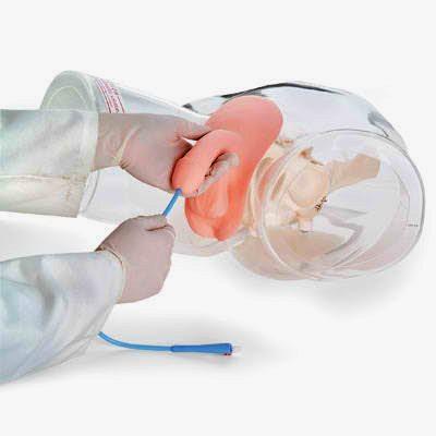 Catheterization Male Simulator Transparent