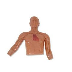 Neonatal Manikin