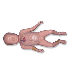 Neonatal Manikin