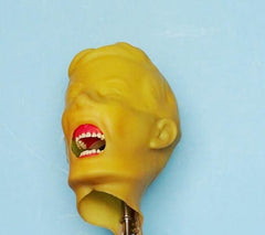 child tooth extraction simulator model