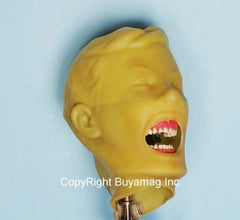 child periodontal model manikin