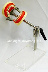 Dental Mount Table Bench Stand Demontration Practice