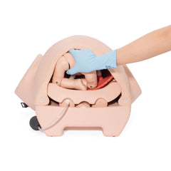 childbirth simulator manikin
