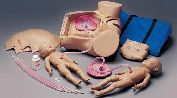 childbirth obstetric simulator anatomical model manikin