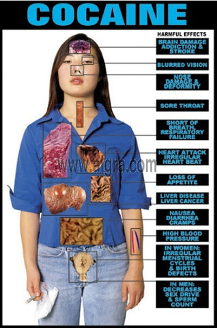 cocaine Effects Transparency poster