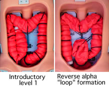 colonoscopy simulator