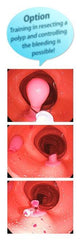 Replacement Semi-Difficult Intestine