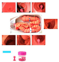 Replacement Semi-Difficult Intestine