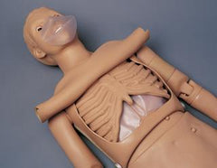CPR Training Manikin Simulator Deluxe Full Body Life Support Adult Manikin