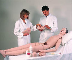 Deluxe Patient Care Manikin With Organs Male Female Interchangeable Organs