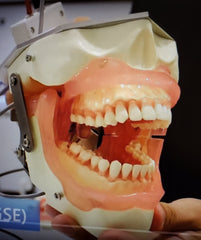 dental oral anesthesia simulator