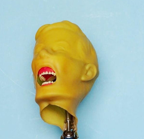 child periodontal manikin