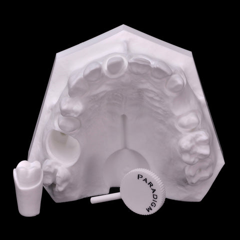 prepped teeth crown 3 unit bridge model