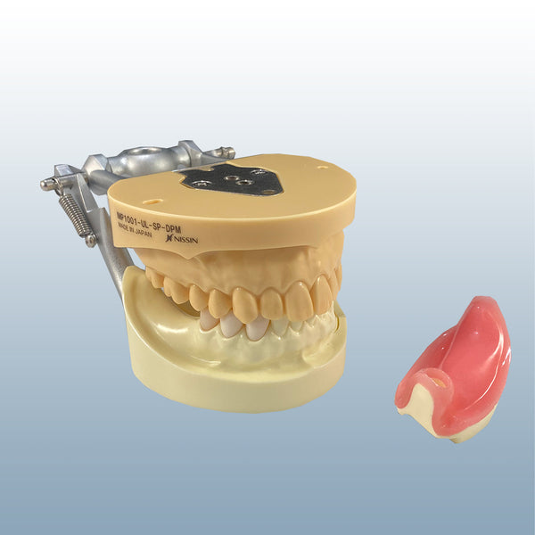 dental implant drilling practice model