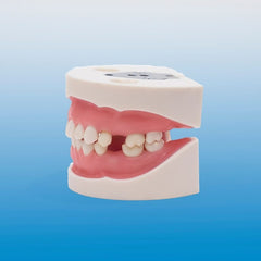 gum tissue suture practice model