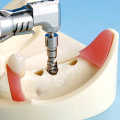 implant drilling practice model