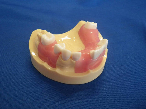 dental implant bone drilling suture training