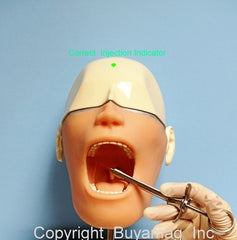 dental anesthesia simulator manikin