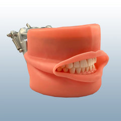dental practice model
