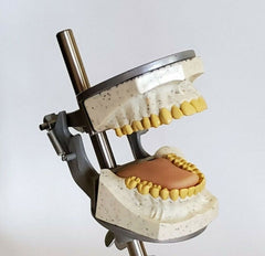 teeth oral x-ray simulator