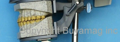 dental x-ray model simulator
