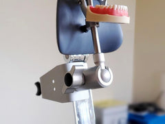 dental extraction model