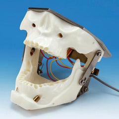 dental anesthesia practice simulator