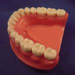 Dental Examination CITA-EP Examination Testing Kit Set of 4 CITA-EP Kit Dental Examination