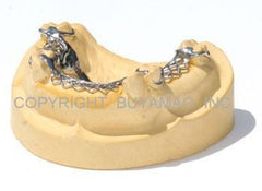 Metal Frame Work Dental Model With Material 14 Teeth