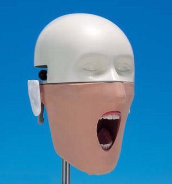 Dental Training Simulator Manikin