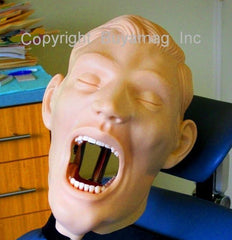 dental training manikin simulator