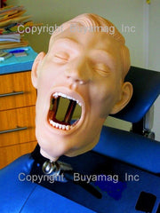 periodontal manikin simulator with calculus on teeth