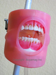 Oral Cavity Cover 