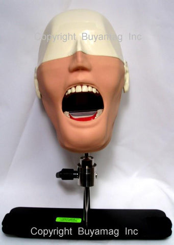 Hygiene Techniques Training Simulator/Manikin Magnetic Quick Disconnect System, Mask & Drainage System Complete