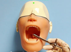 dental anesthesia simulator model