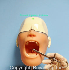 dental anesthesia manikin simulator