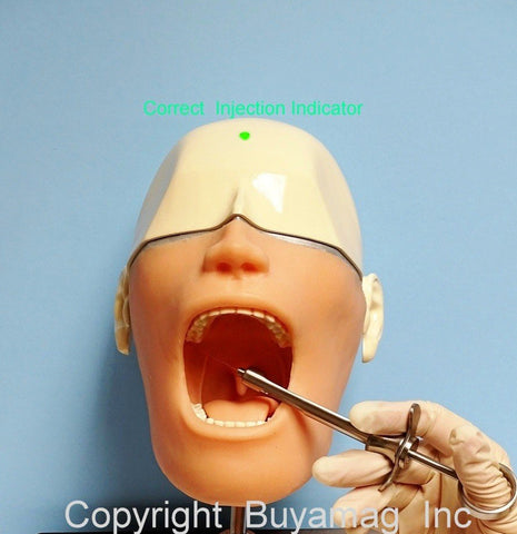 dental anesthesia manikin simulator 