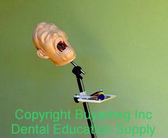Dental Mount Portable Stand Training 