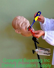 dental simulator mount