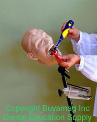 dental portasim floor mount