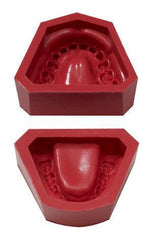 Dental Robber Mold Formers base Model