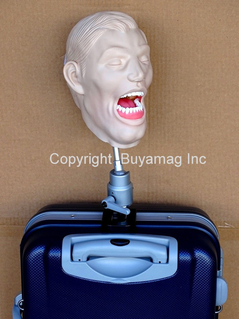Dental Teeth X Ray Typodont Model Manikin Buyamag Buyamag INC