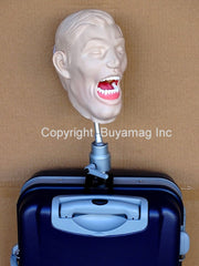 teeth x-ray model