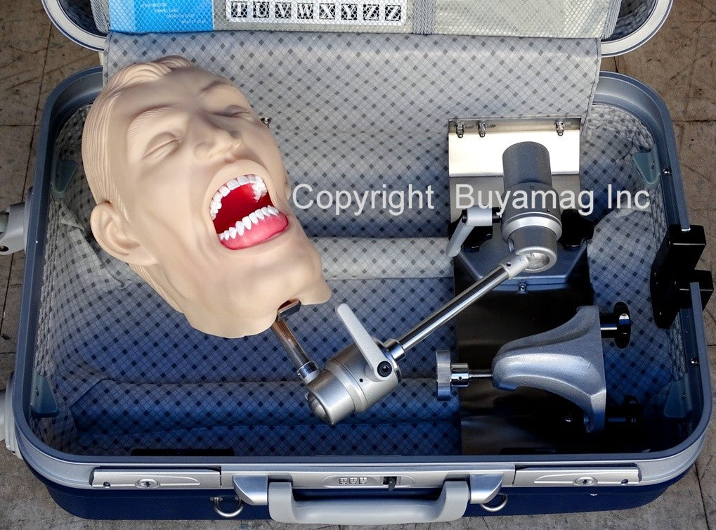 Dental Teeth X Ray Typodont Model Manikin Buyamag Buyamag INC