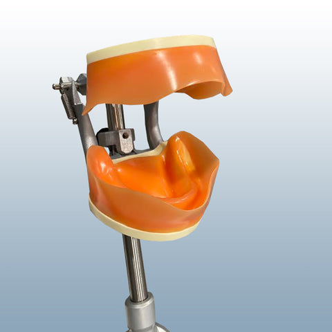 fully edentulous model