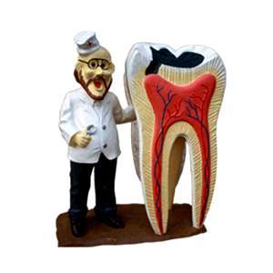 Dentist Gift Art Figurine Office Decoration  Display