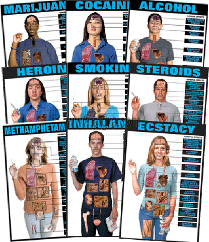  Drug Abuse Education Poster Chart